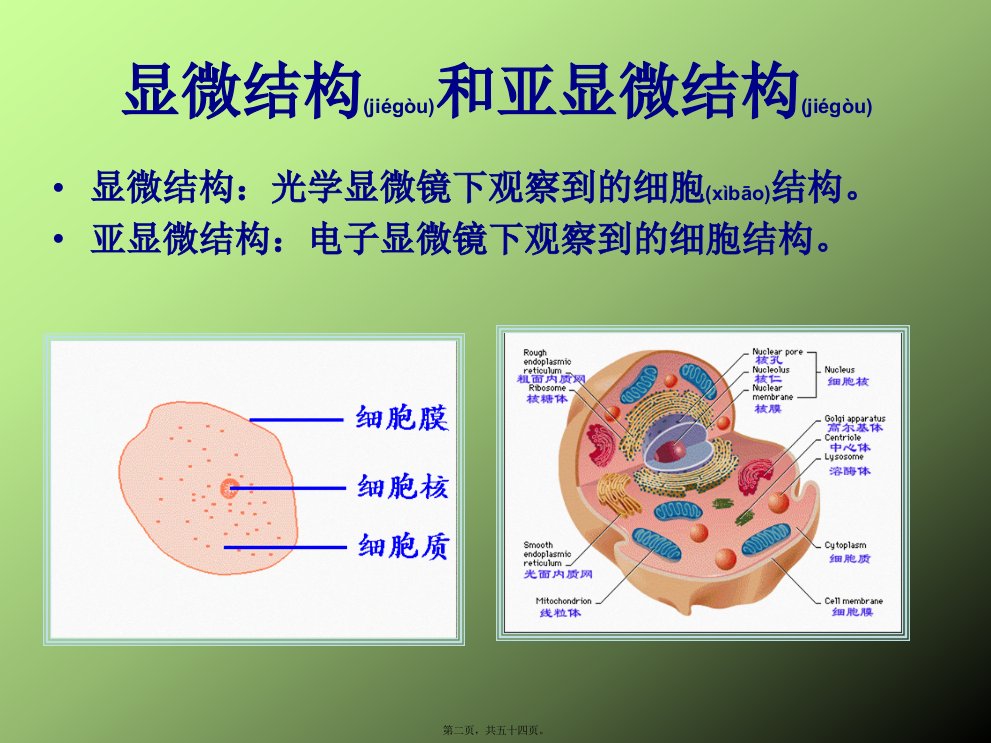 医学专题真核细胞原核细胞