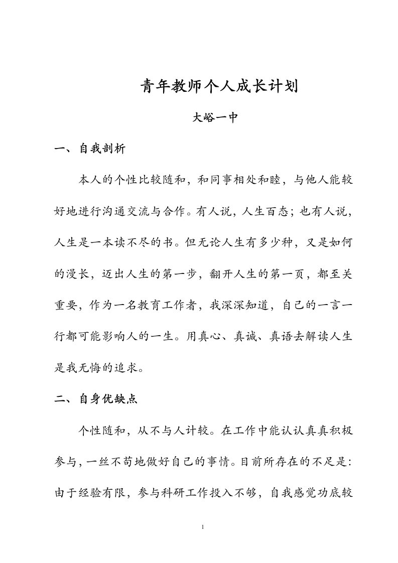 青年教师成长计划