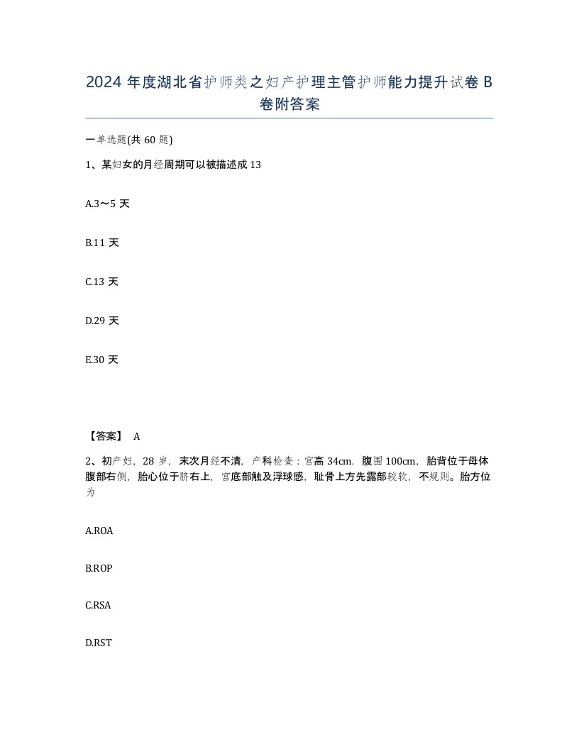 2024年度湖北省护师类之妇产护理主管护师能力提升试卷B卷附答案