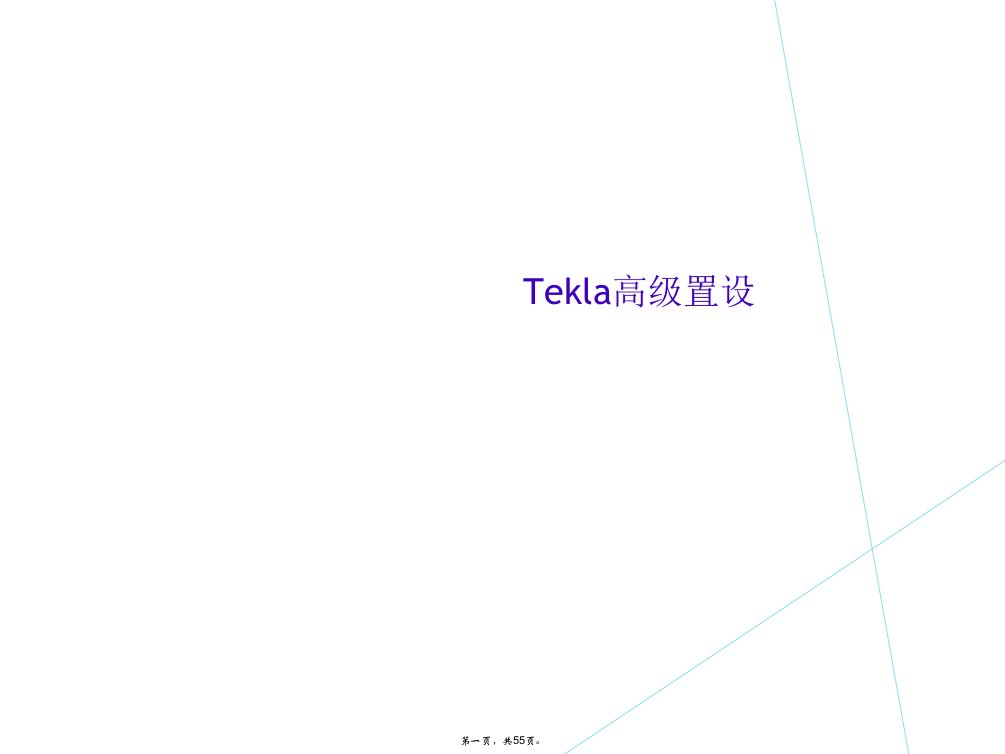 tekla高级置设