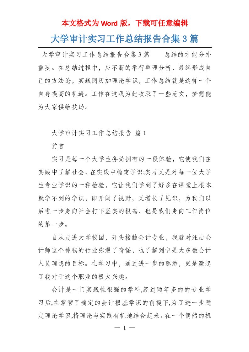 大学审计实习工作总结报告合集3篇