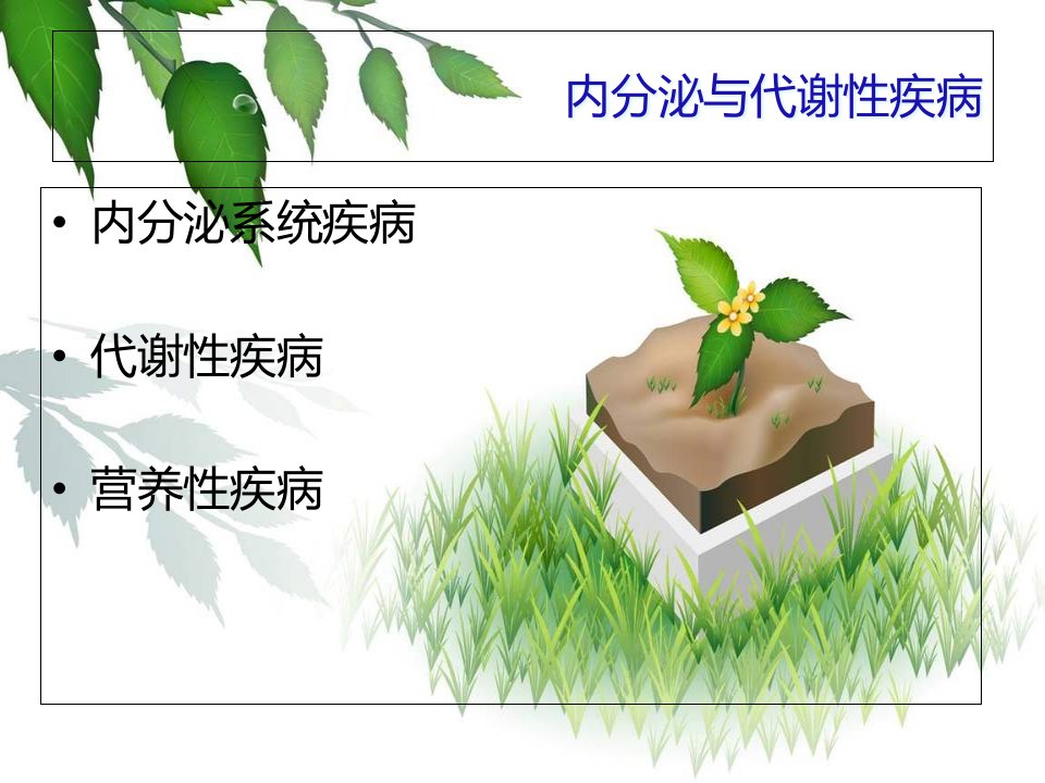 内分泌代谢疾病医疗管理知识分析护理