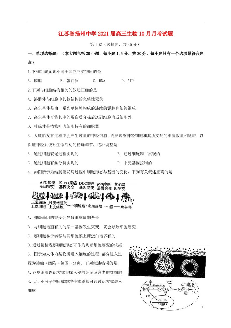 江苏省扬州中学2021届高三生物10月月考试题