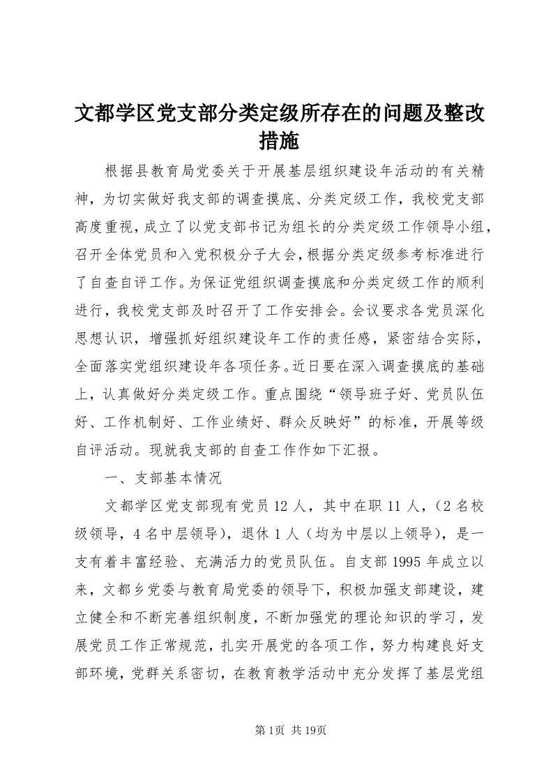 6文都学区党支部分类定级所存在的问题及整改措施