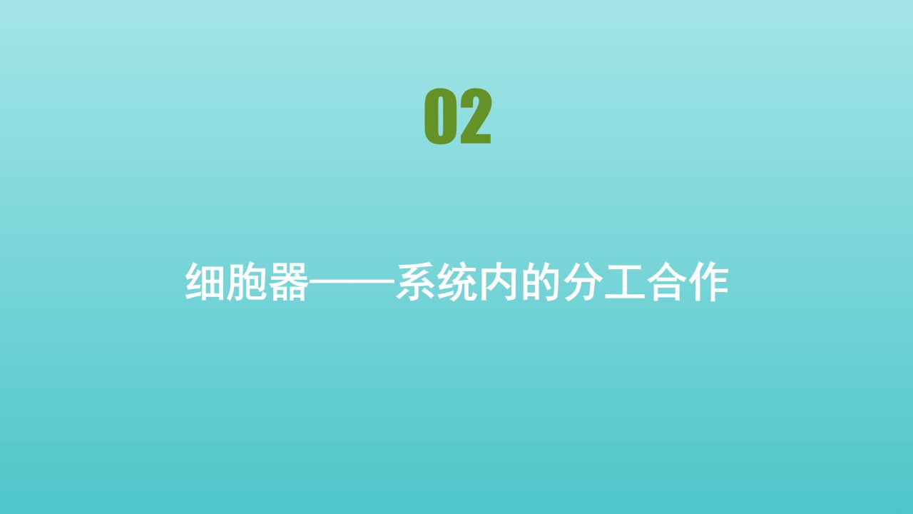 高中生物第3章细胞的基本结构第2节细胞器__系统内的分工合作课件新人教版必修1