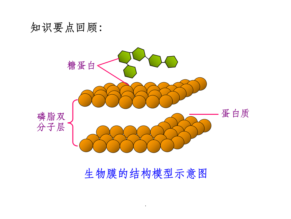 第三节-物质跨膜运输的方式ppt课件