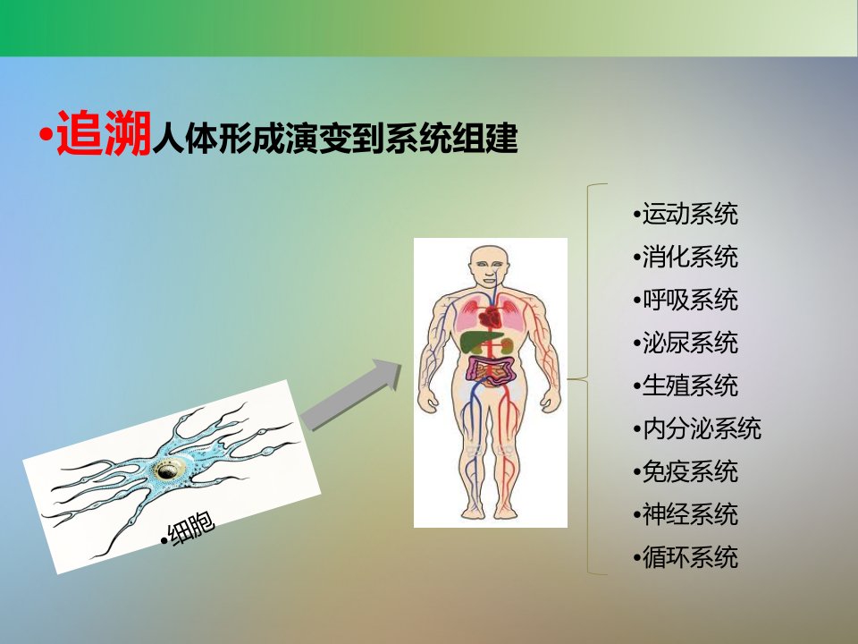 化橘红花果片推广讲义0415课件