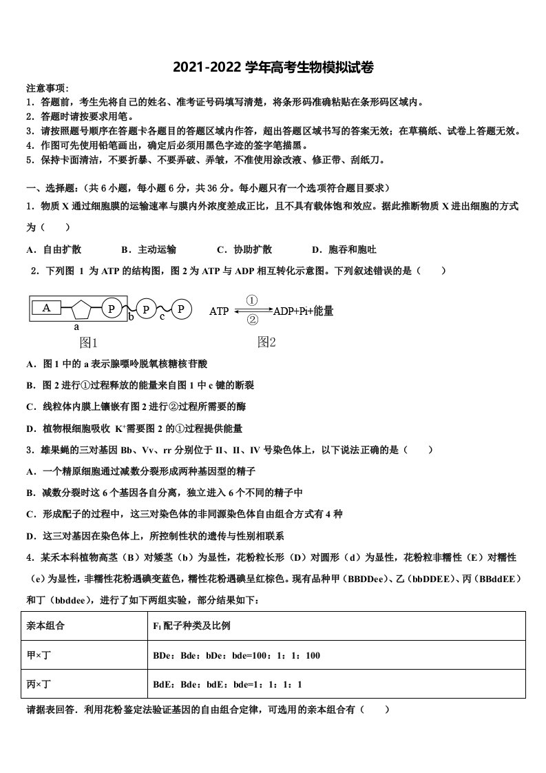 上海曹杨二中2021-2022学年高三下学期联合考试生物试题含解析