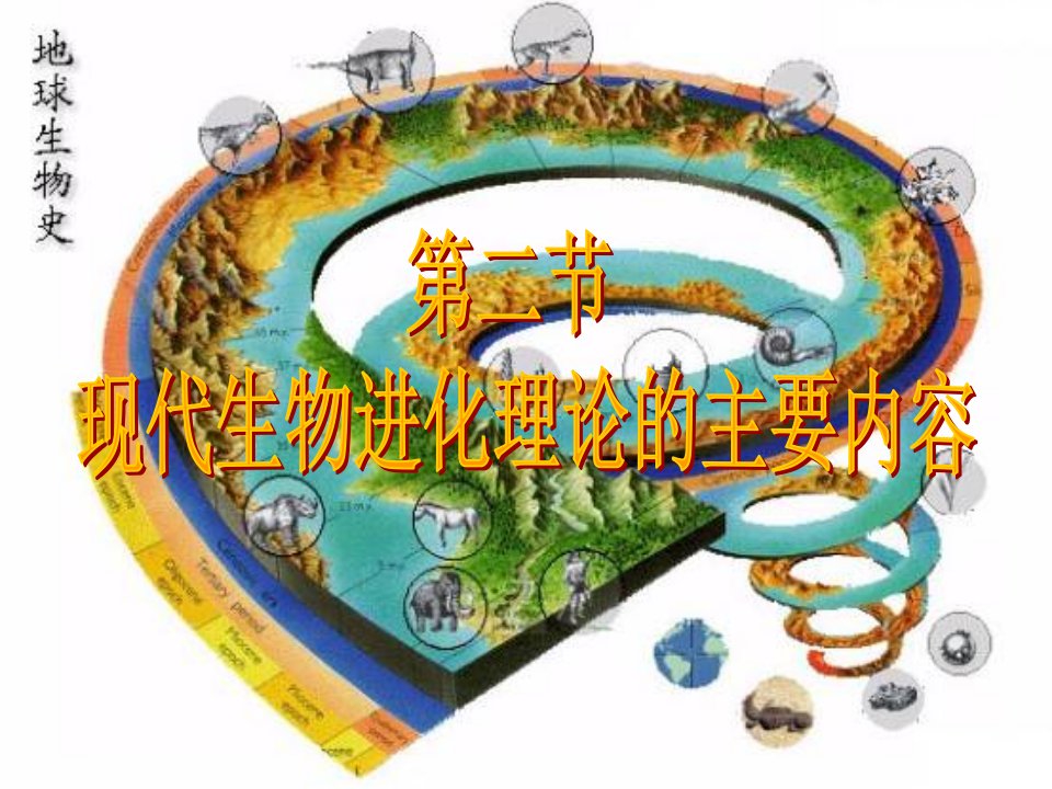 现代生物进化论第一课时好-课件（PPT-精）