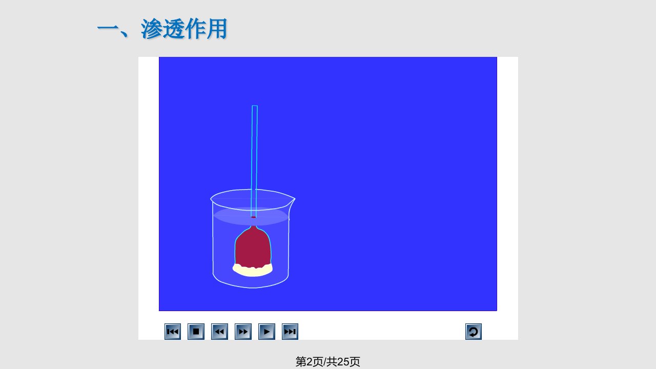 物质跨膜运输的实例完整