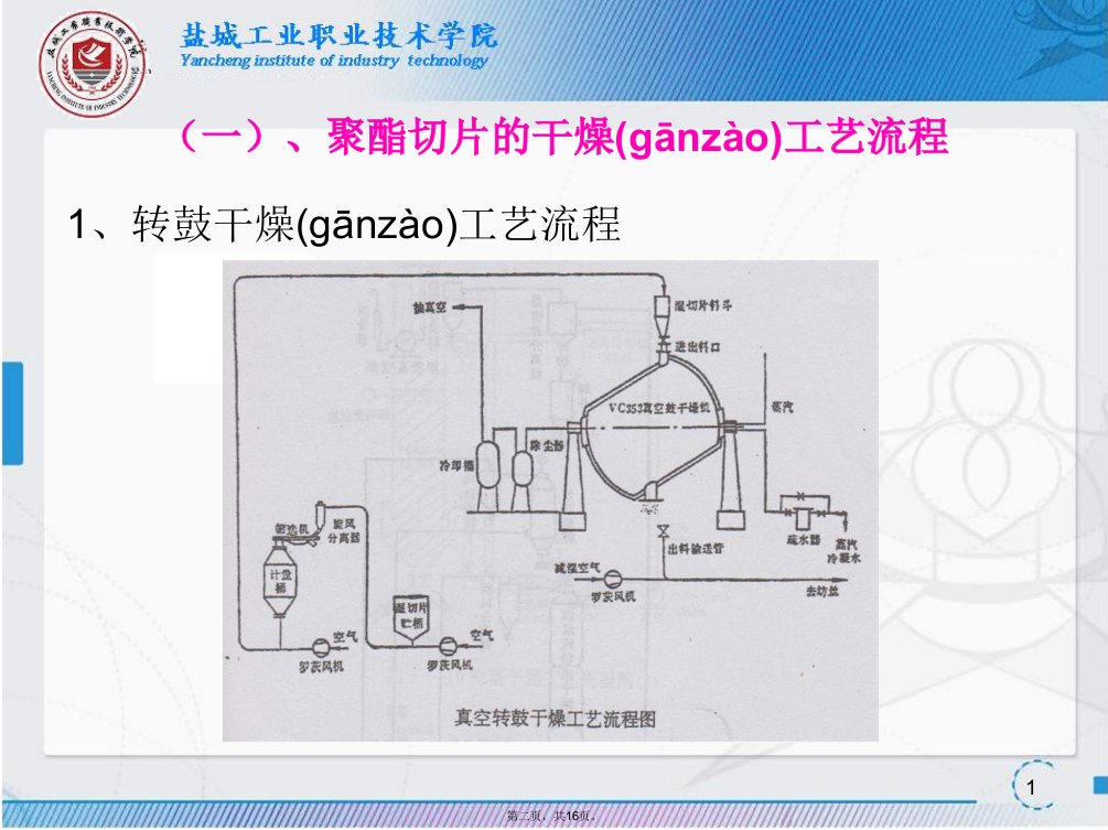 切片干燥工艺及其影响因素.说课讲解