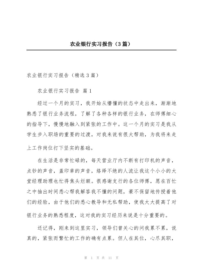 农业银行实习报告（3篇）