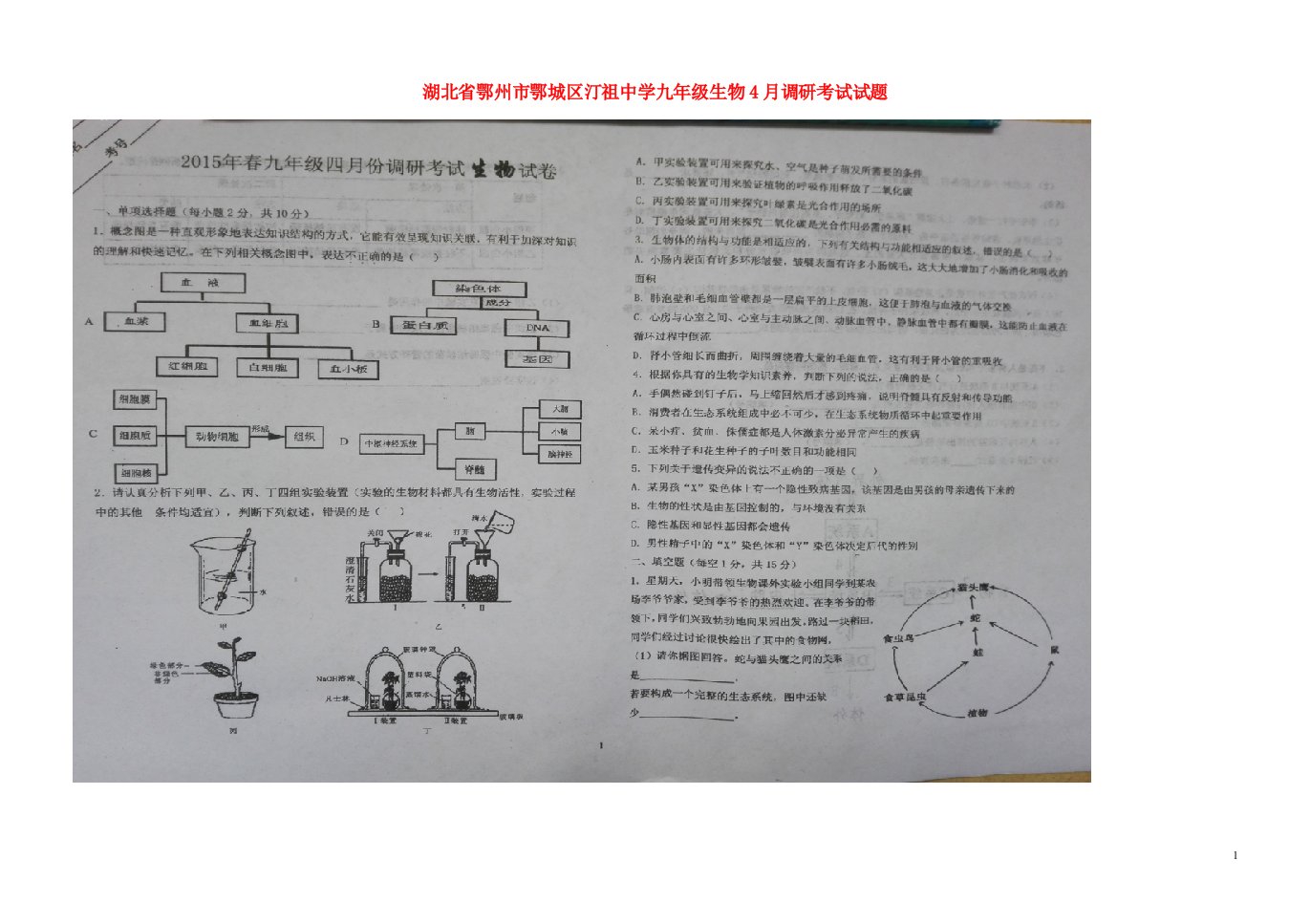 湖北省鄂州市鄂城区汀祖中学九级生物4月调研考试试题（扫描版，答案不全）