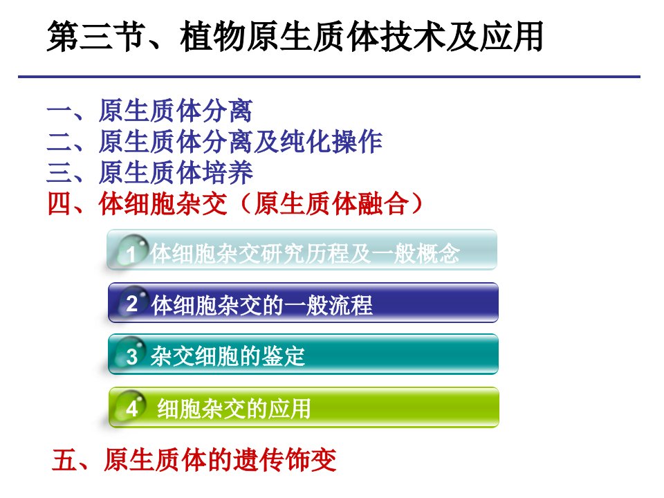 《原生质体融合》PPT课件