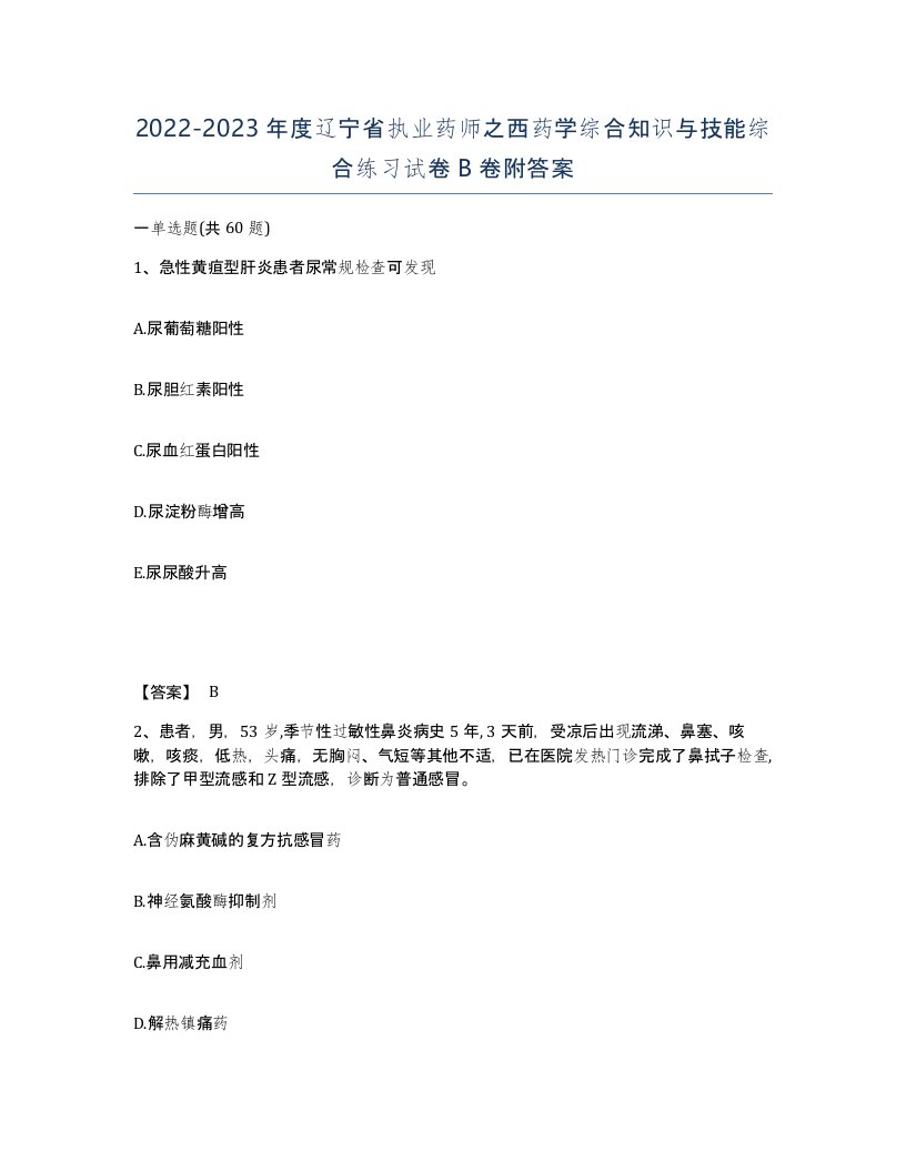 2022-2023年度辽宁省执业药师之西药学综合知识与技能综合练习试卷B卷附答案