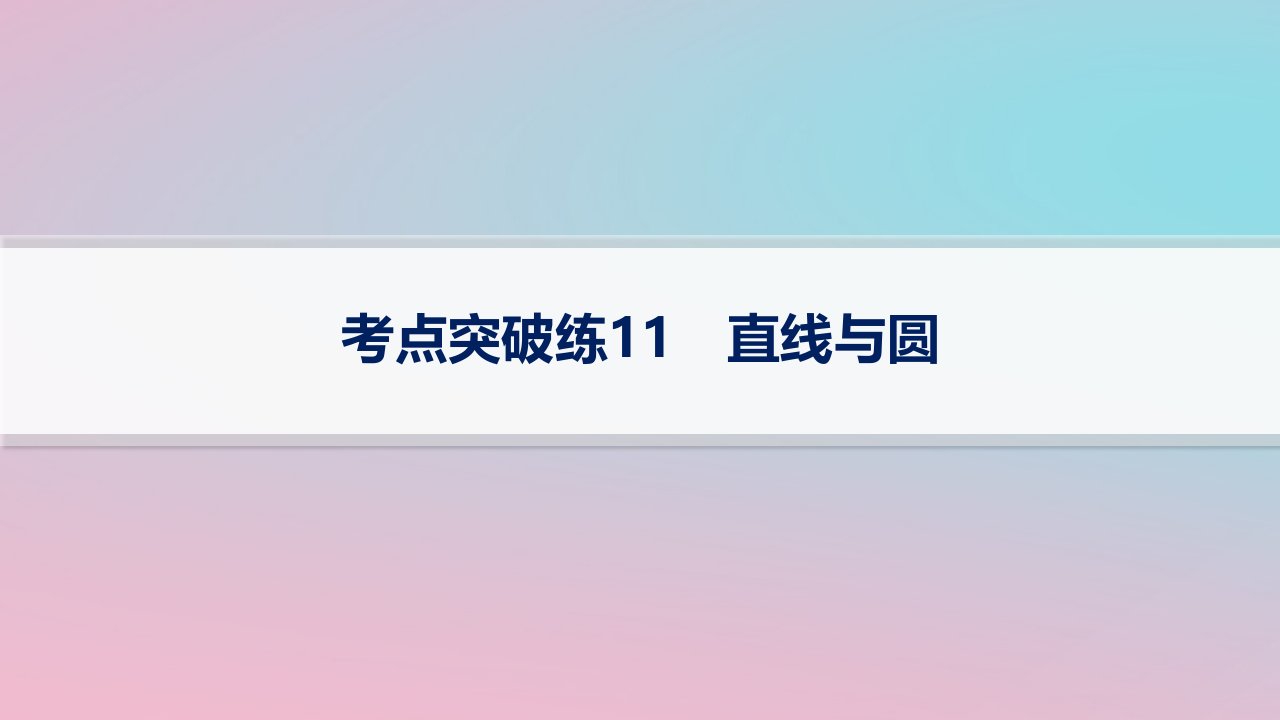 适用于新高考新教材2024版高考数学二轮复习考点突破练11直线与圆课件