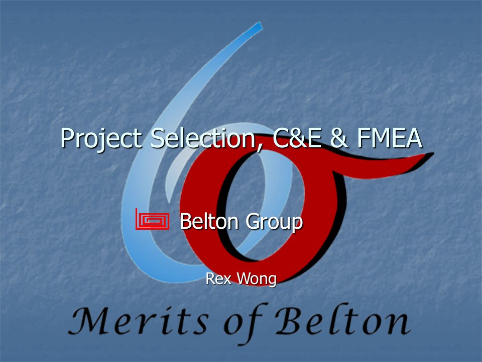 ProjectSelection,C&E&FMEA(2)