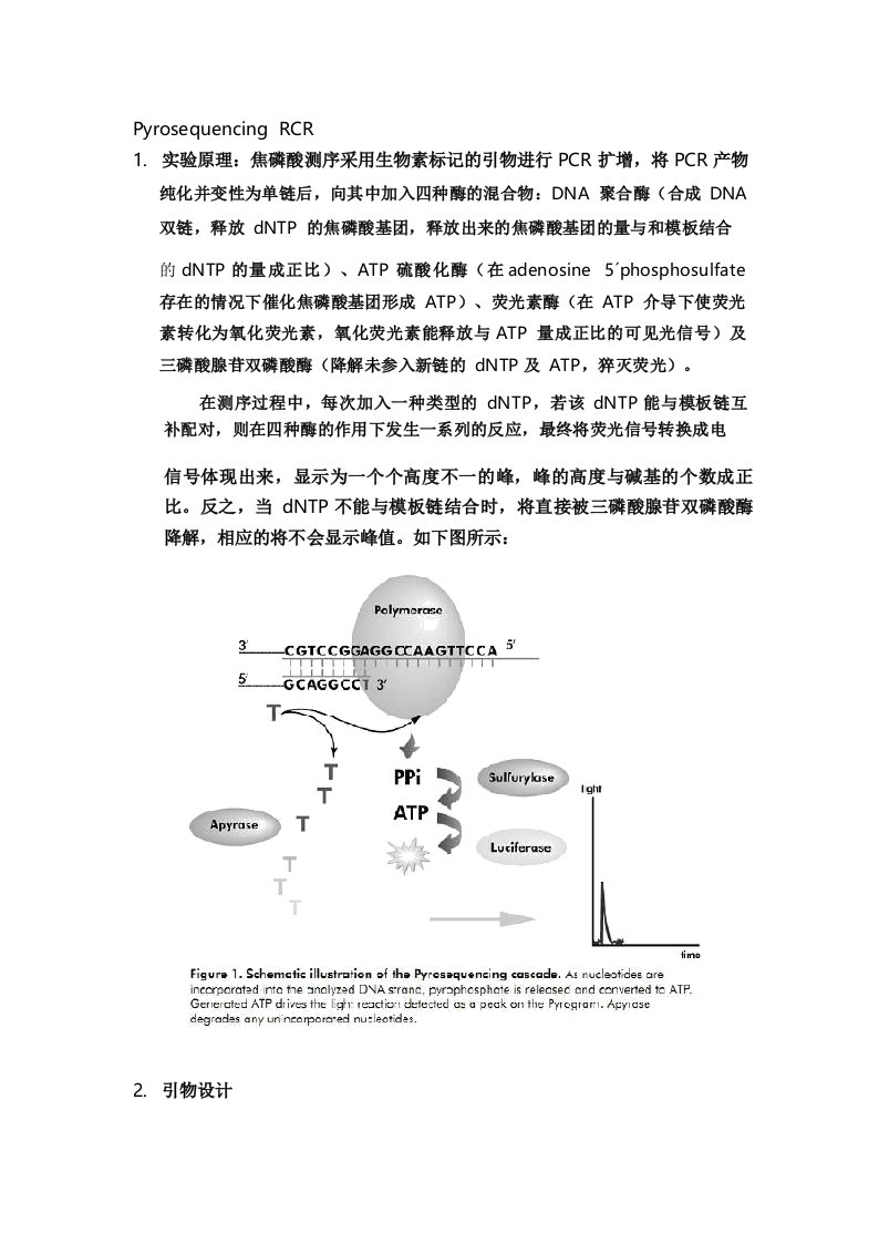 焦磷酸测序的原理及引物设计