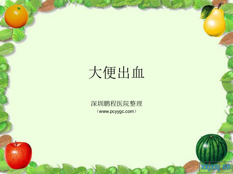 大便出血的症状-课件（PPT·精·选）