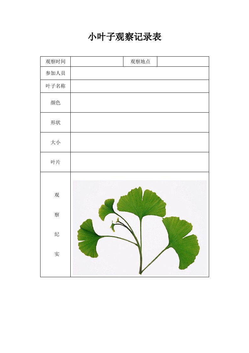 植物观察报告表格【精品】