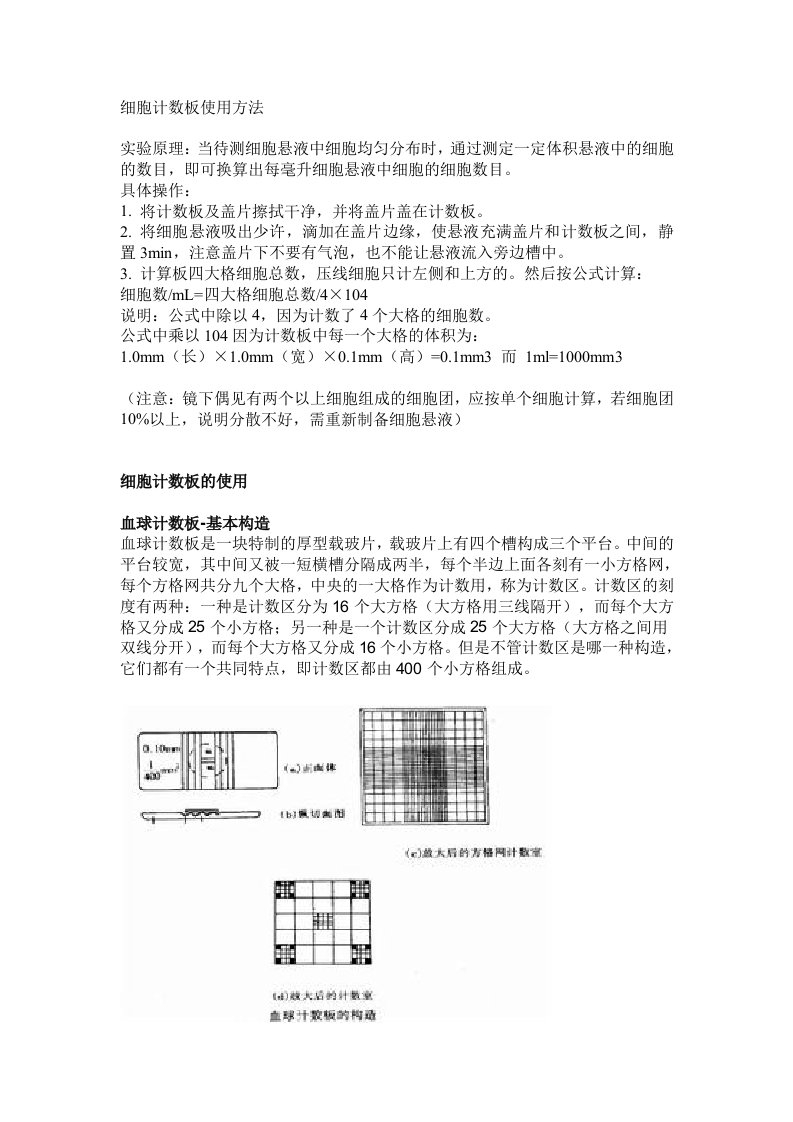 细胞计数板使用方法