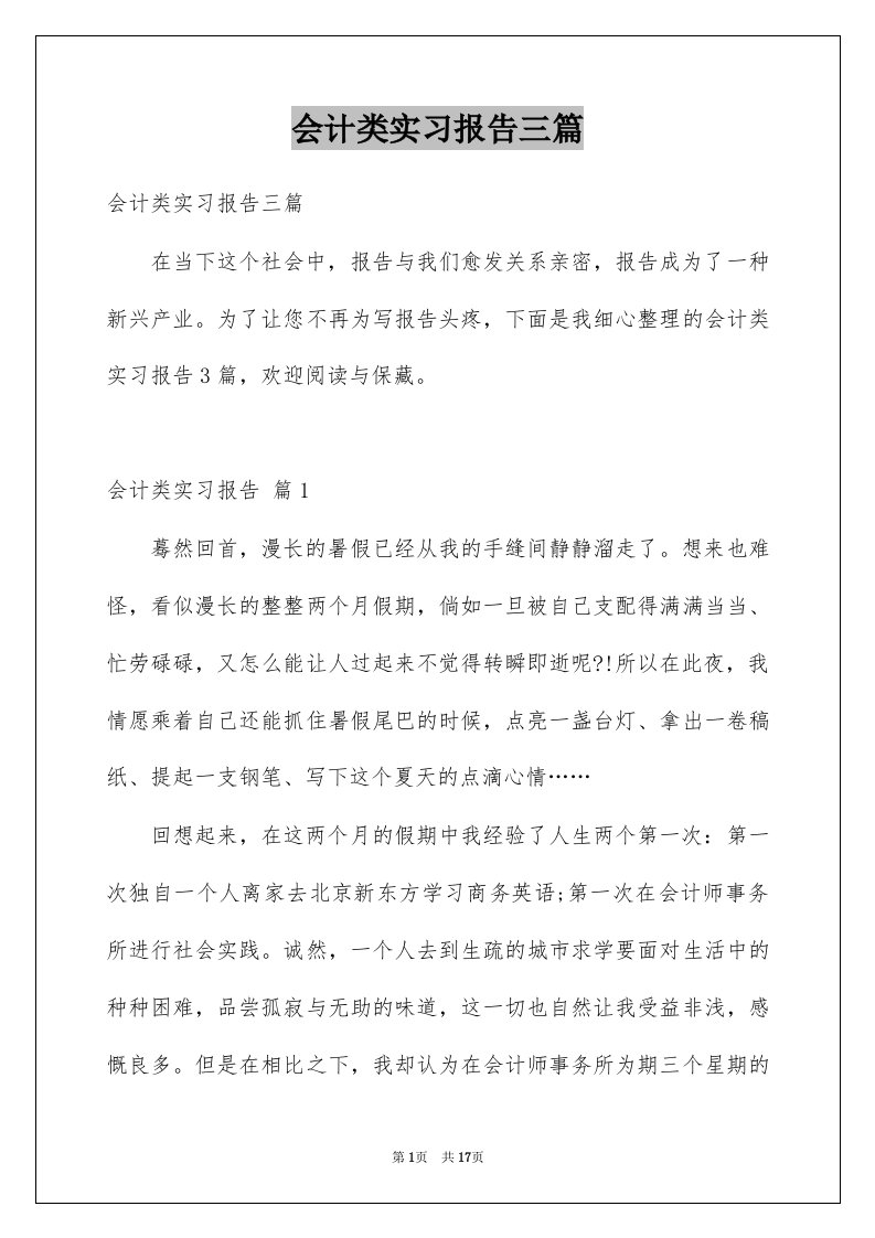 会计类实习报告三篇范文5