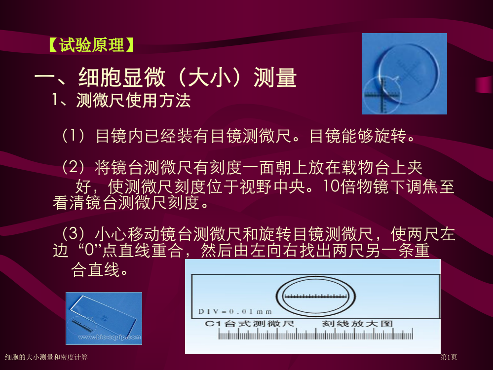 细胞的大小测量和密度计算