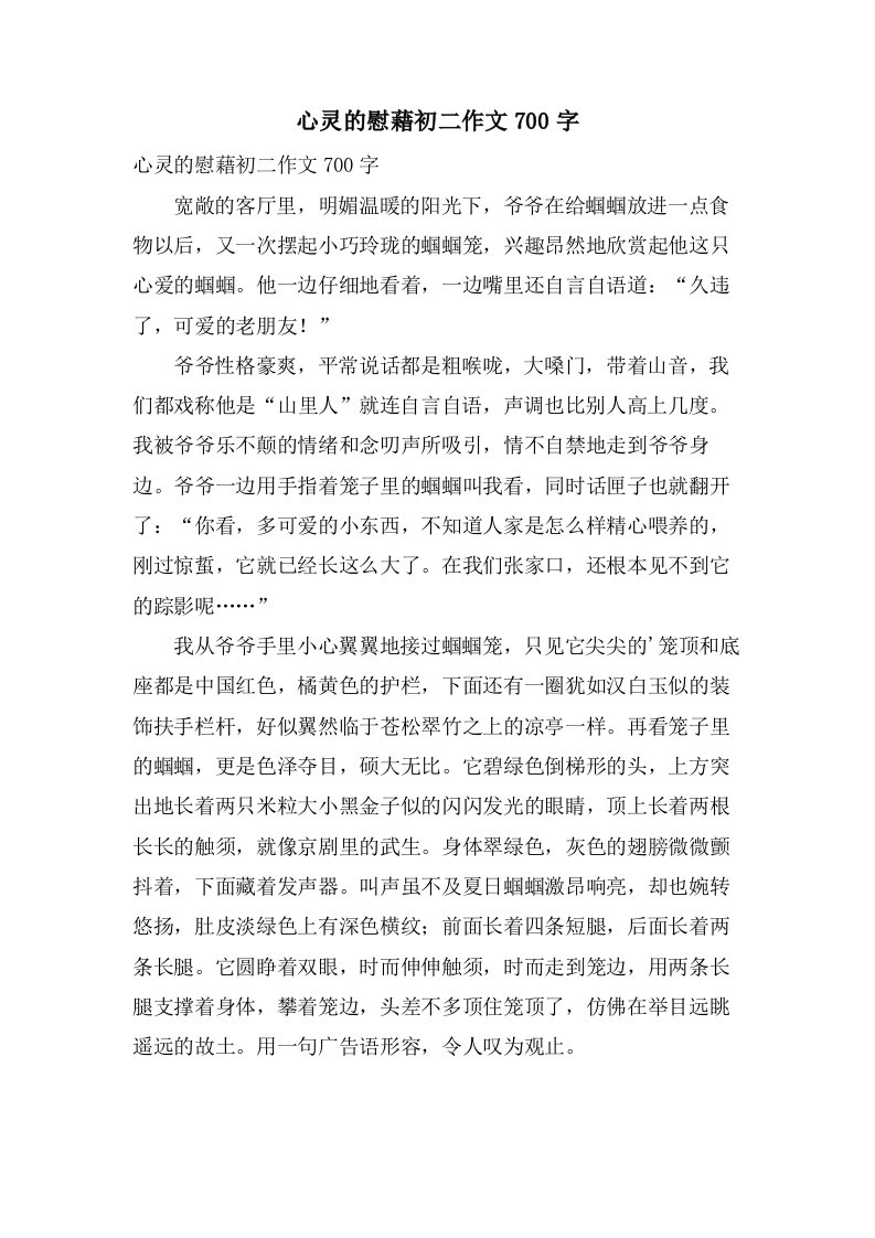 心灵的慰藉初二作文700字