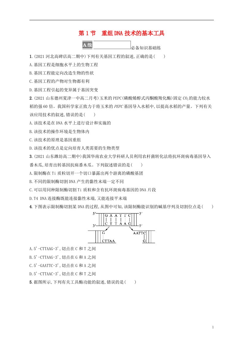 2022_2023学年新教材高中生物第3章基因工程第1节重组DNA技术的基本工具课后习题新人教版选择性必修3