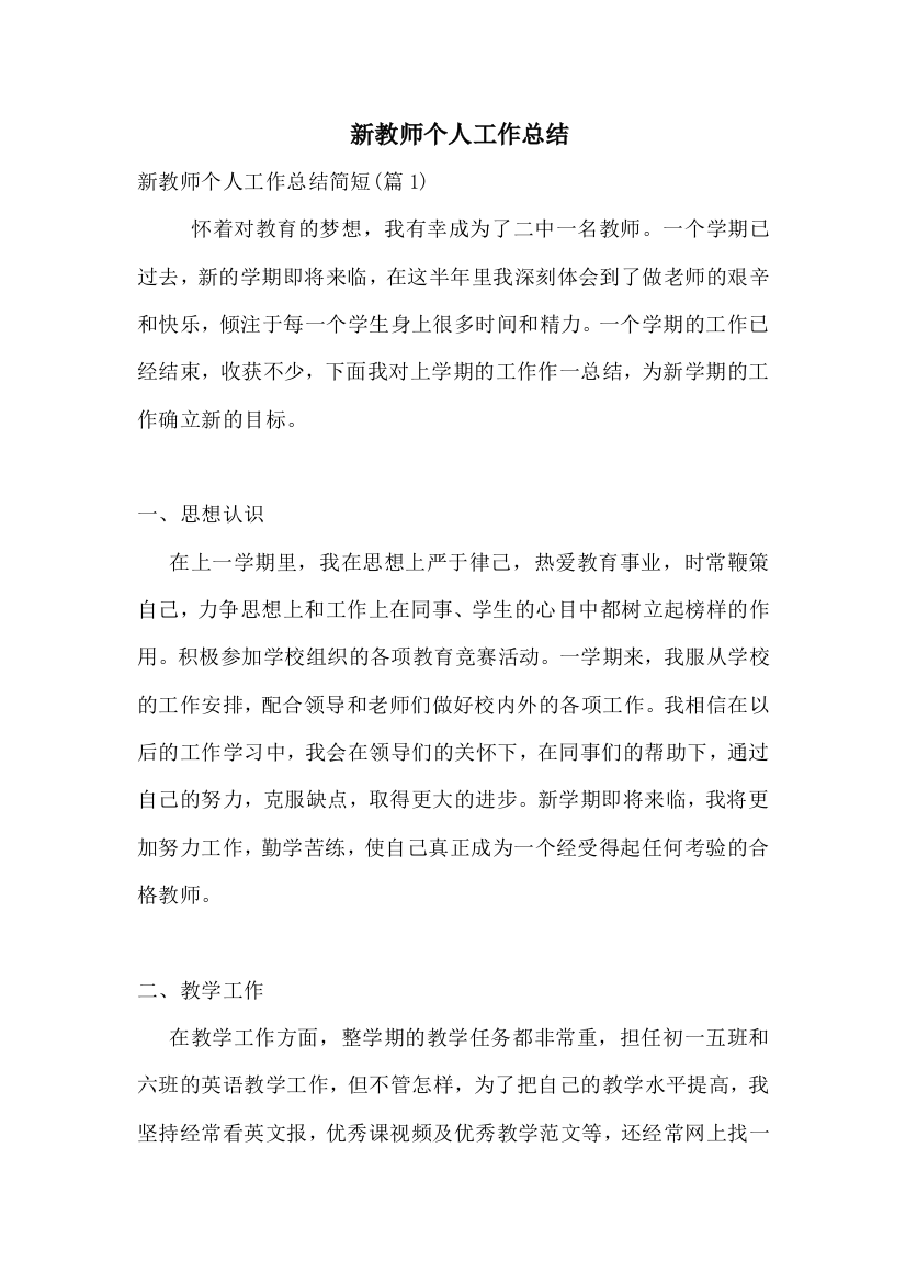 新教师个人工作总结