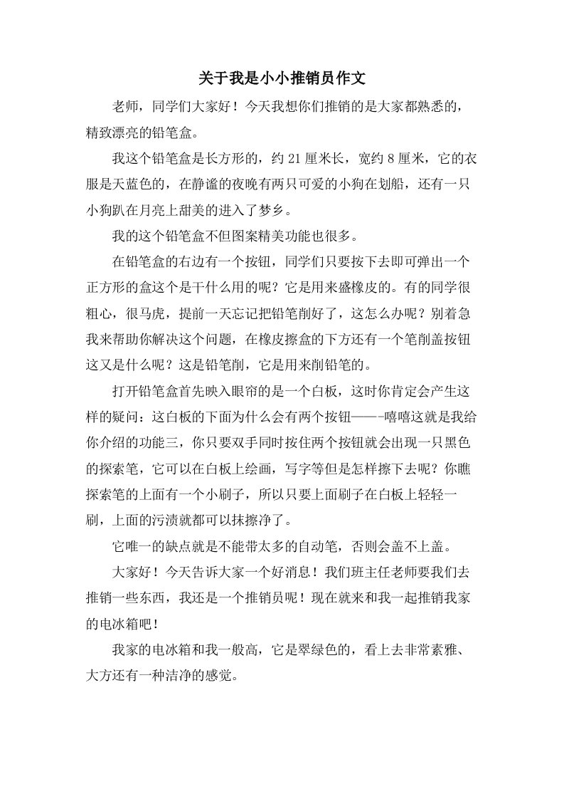 关于我是小小推销员作文