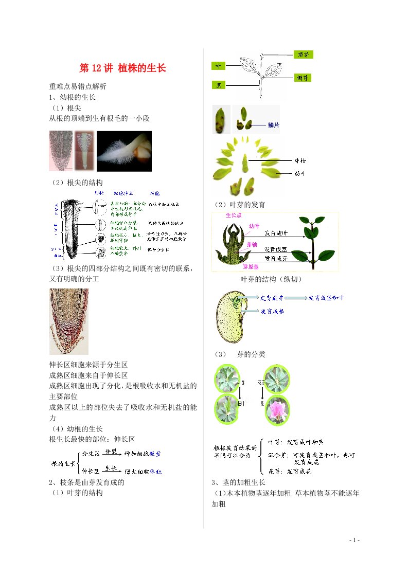 江苏省大丰市七年级生物上册第12讲植株的生长讲义苏教版