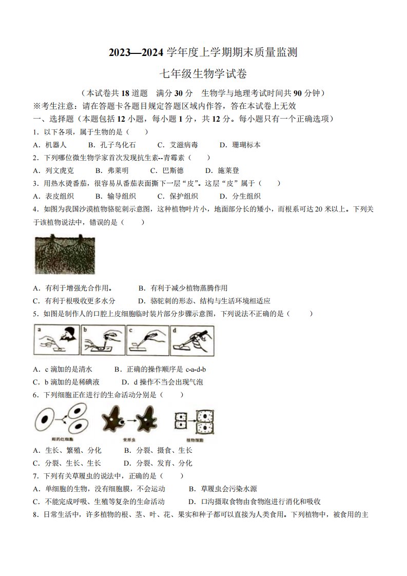 辽宁省辽阳市2023—2024学年七年级上学期期末生物试卷