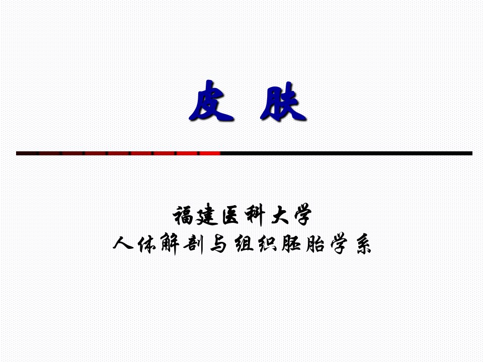 组织学与胚胎学第11章皮肤上