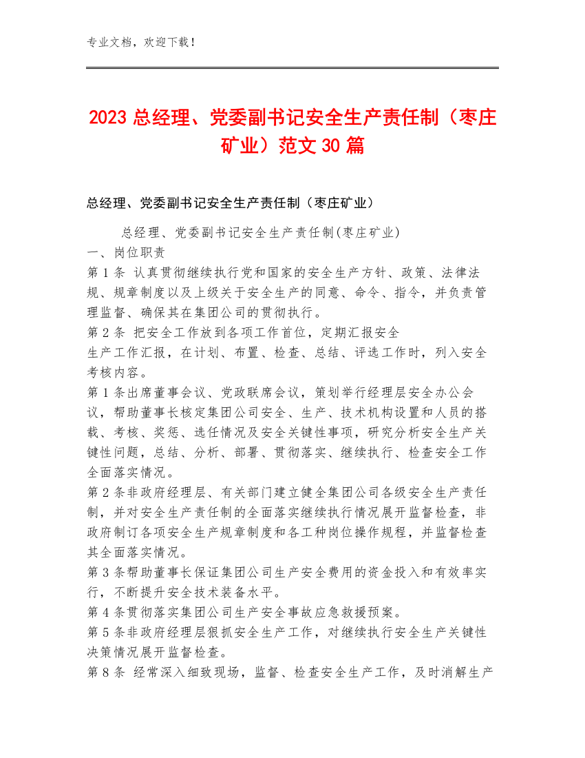 2023总经理、党委副书记安全生产责任制（枣庄矿业）范文30篇