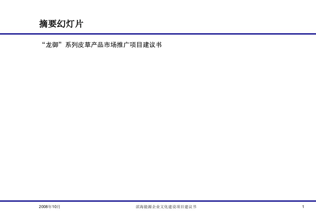 [精选]龙御品牌营销策划与市场推广项目建议书091124