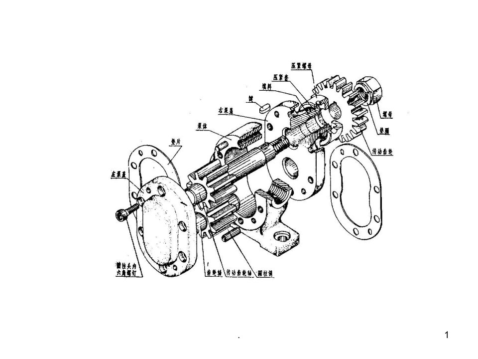 齿轮油泵零件图