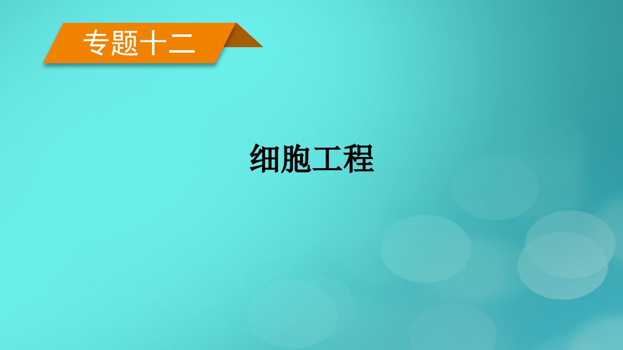 新高考适用2023版高考生物二轮总复习专题12细胞工程课件