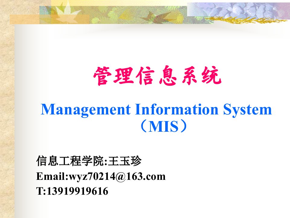 信息系统与管理-ppt