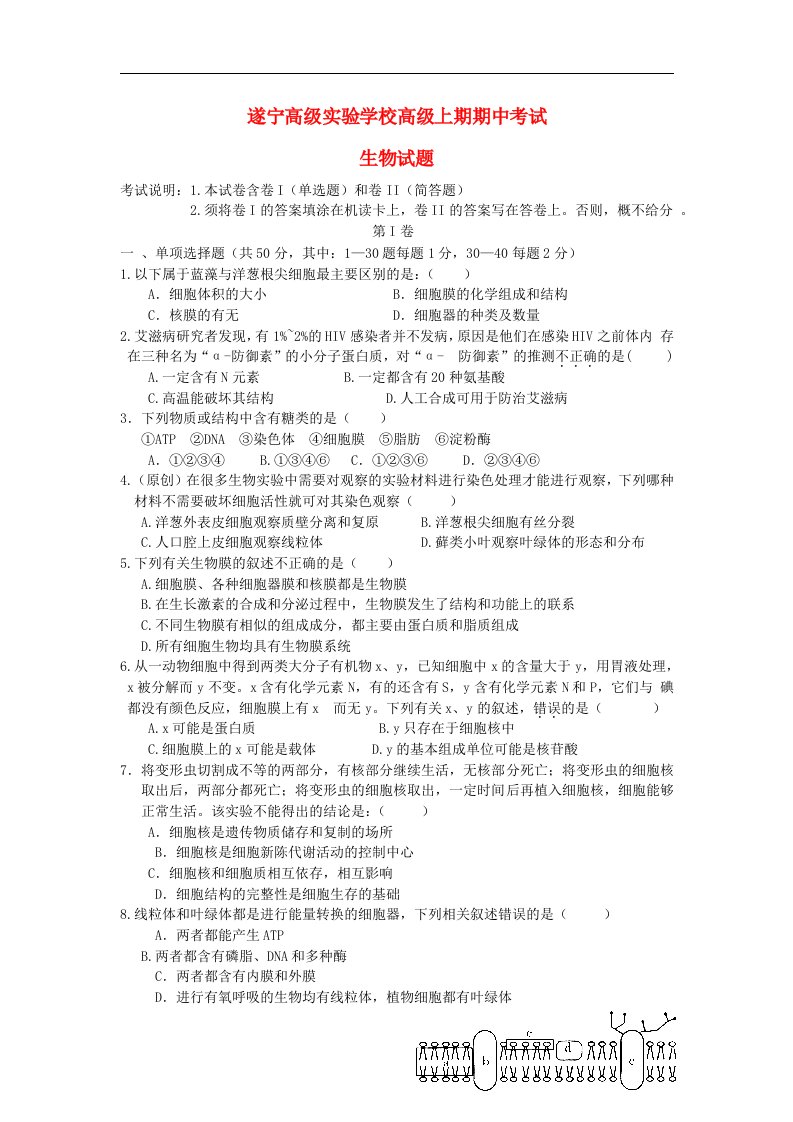 四川省遂宁高级实验学校高二生物上学期期中考试试题新人教版