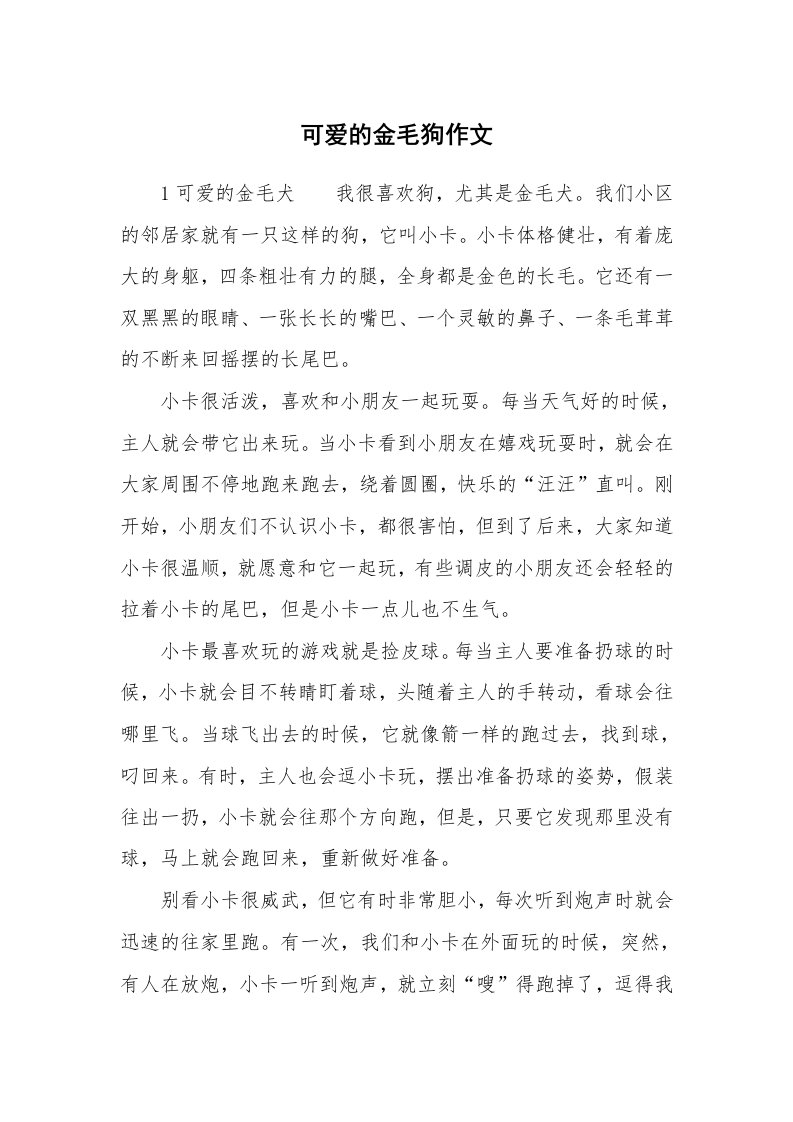 可爱的金毛狗作文