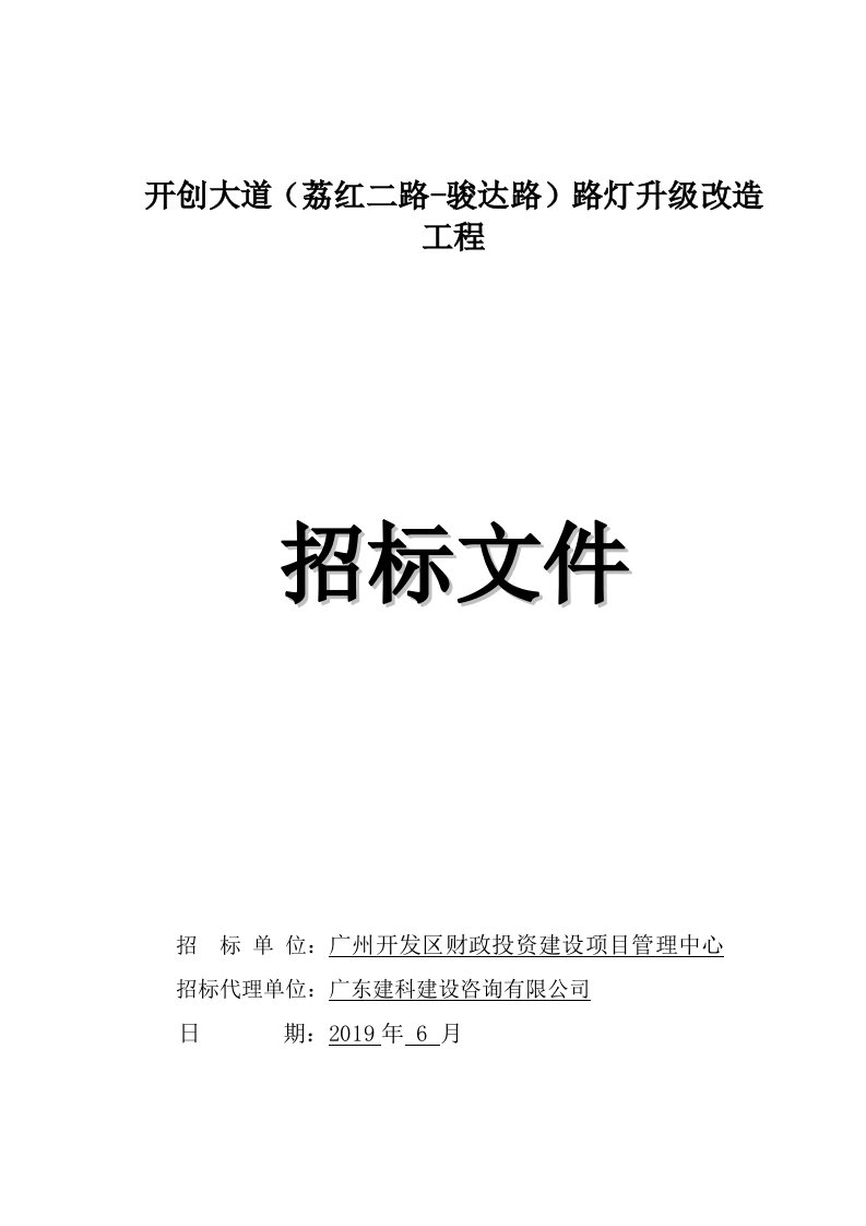 建筑资料-招标文件开创大道路灯定稿_20032_1561365961306