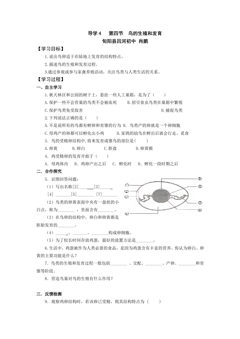 导学4第四节鸟的生殖和发育肖鹏