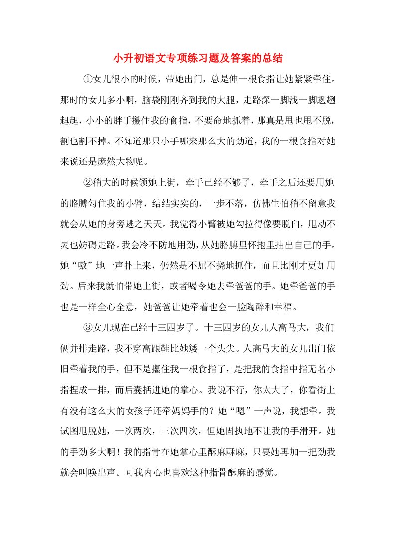 小升初语文专项练习题及答案的总结