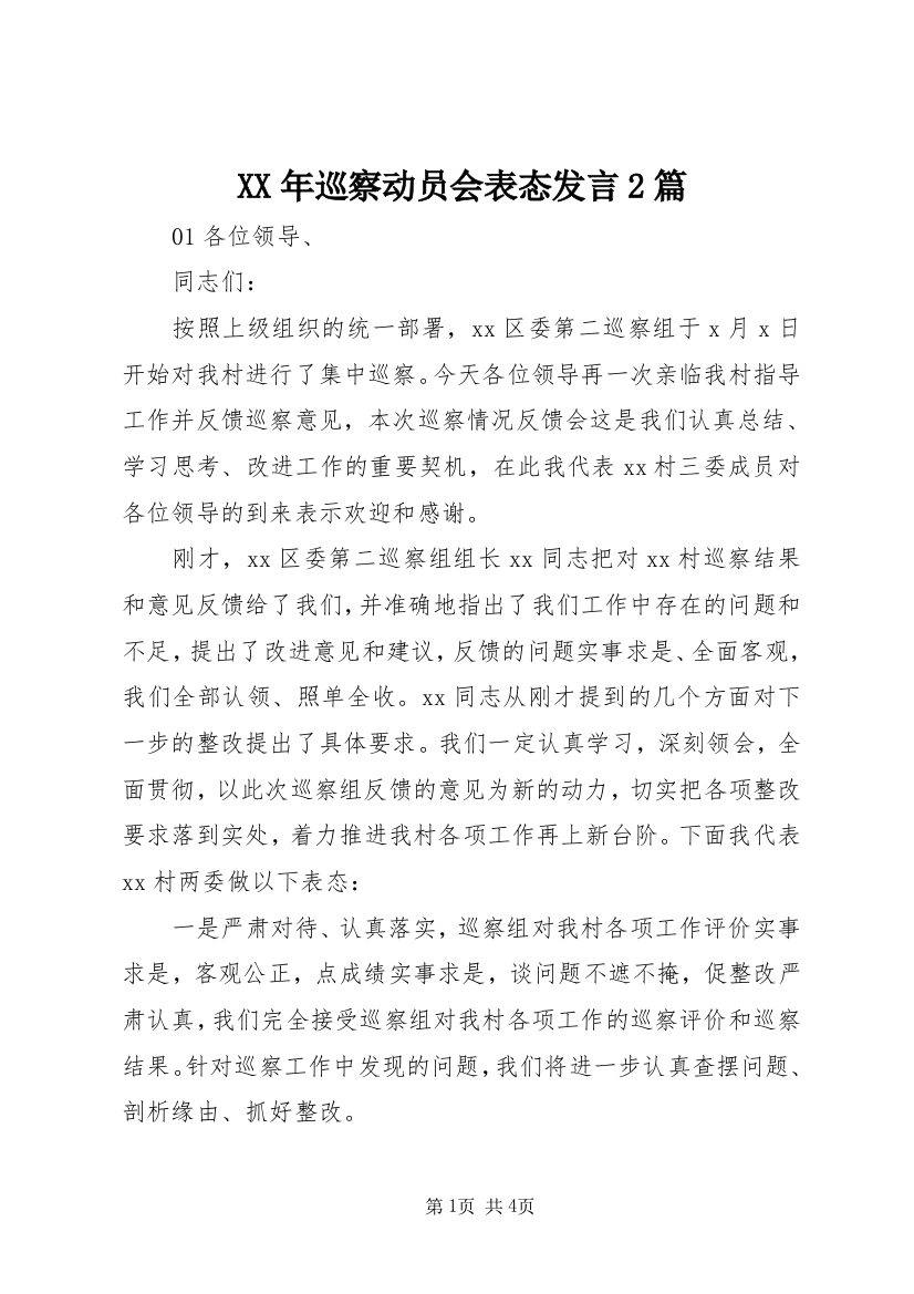 XX年巡察动员会表态发言2篇