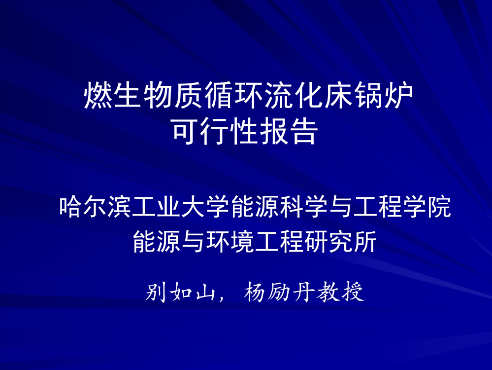 燃生物质循环流化床锅炉省公开课一等奖全国示范课微课金奖PPT课件