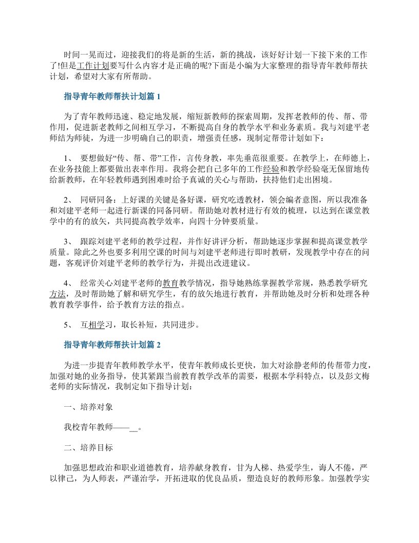 指导青年教师帮扶计划8篇