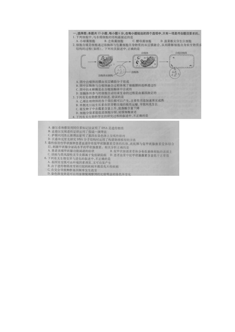 (哈尔滨师大附中东北师大附中辽宁省实验中学)高三第一次联合模拟考试生物试题(扫描)