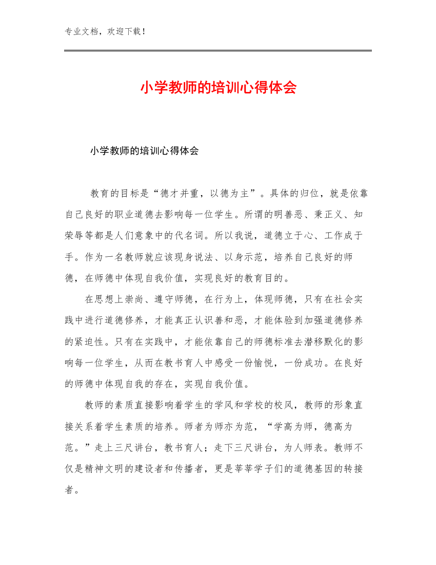 2023小学教师的培训心得体会优选例文14篇