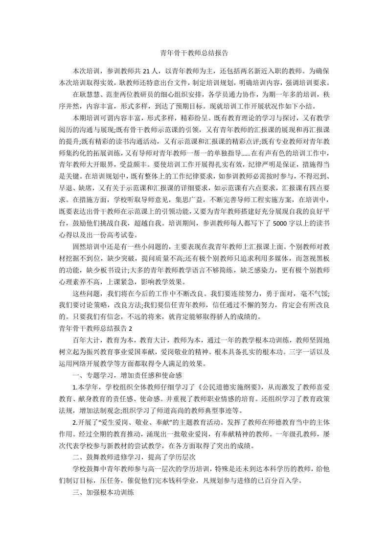 青年骨干教师总结报告